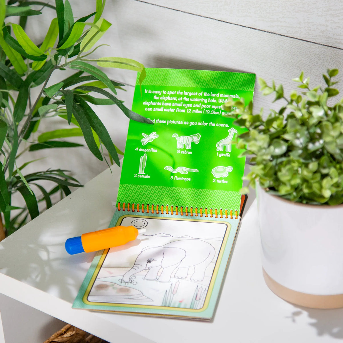One Size