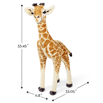 One Size